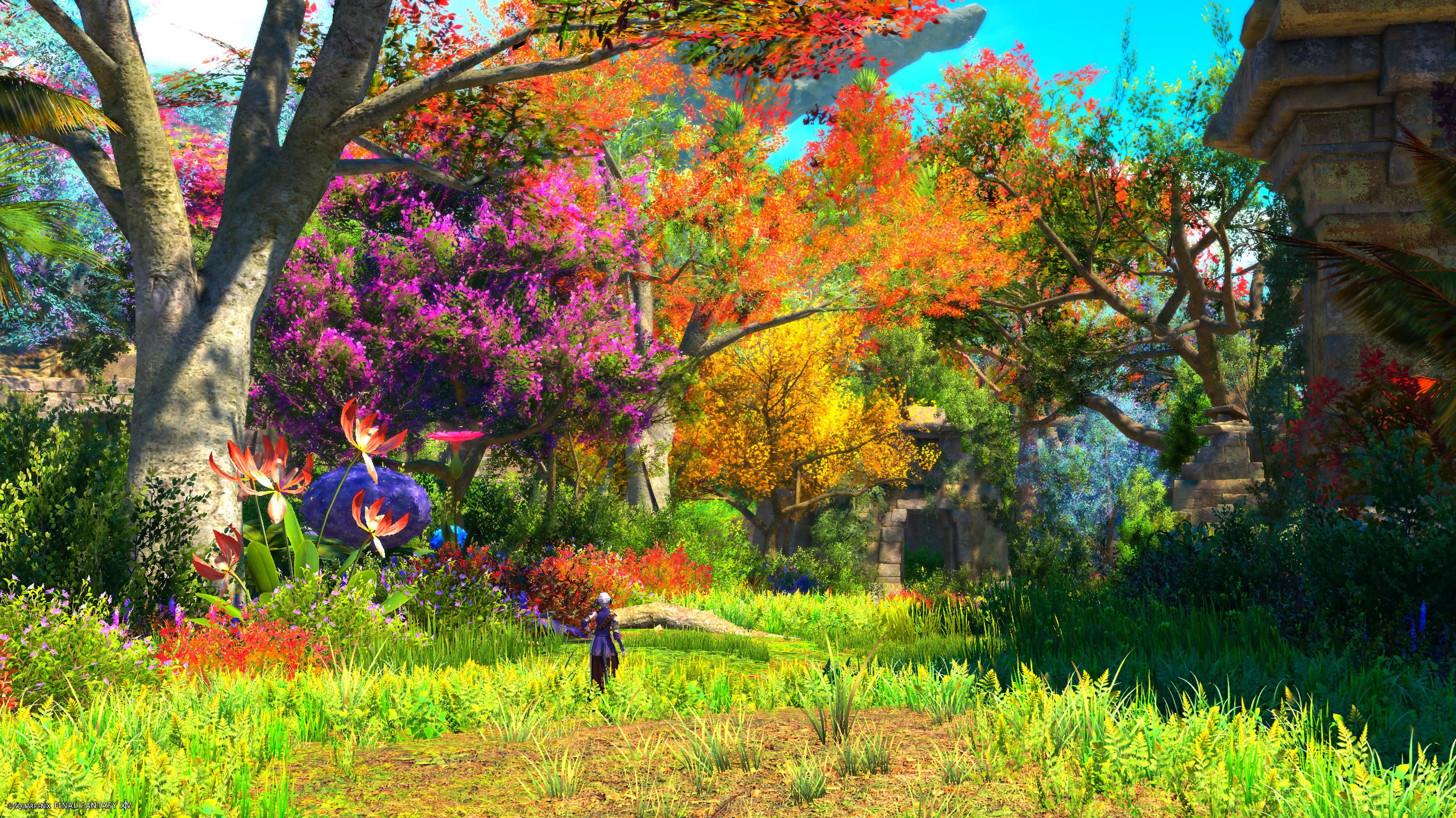 Image in a image block